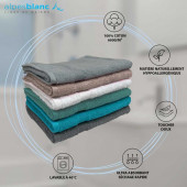 Caractéristiques lot de deux serveittes 100% coton 600grammes/m² 70x140 cm