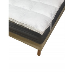 Surmatelas en Plume : Confort haut de gamme 